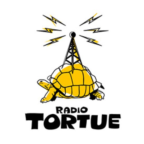 Radio-Tortue-Artiste-6MIC