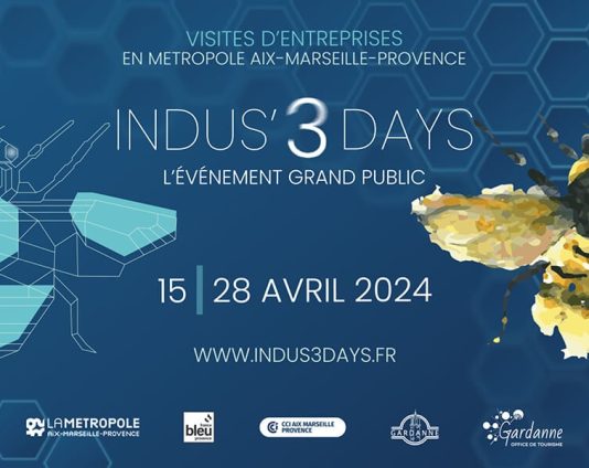 Site Web - Indus3Days - Artiste